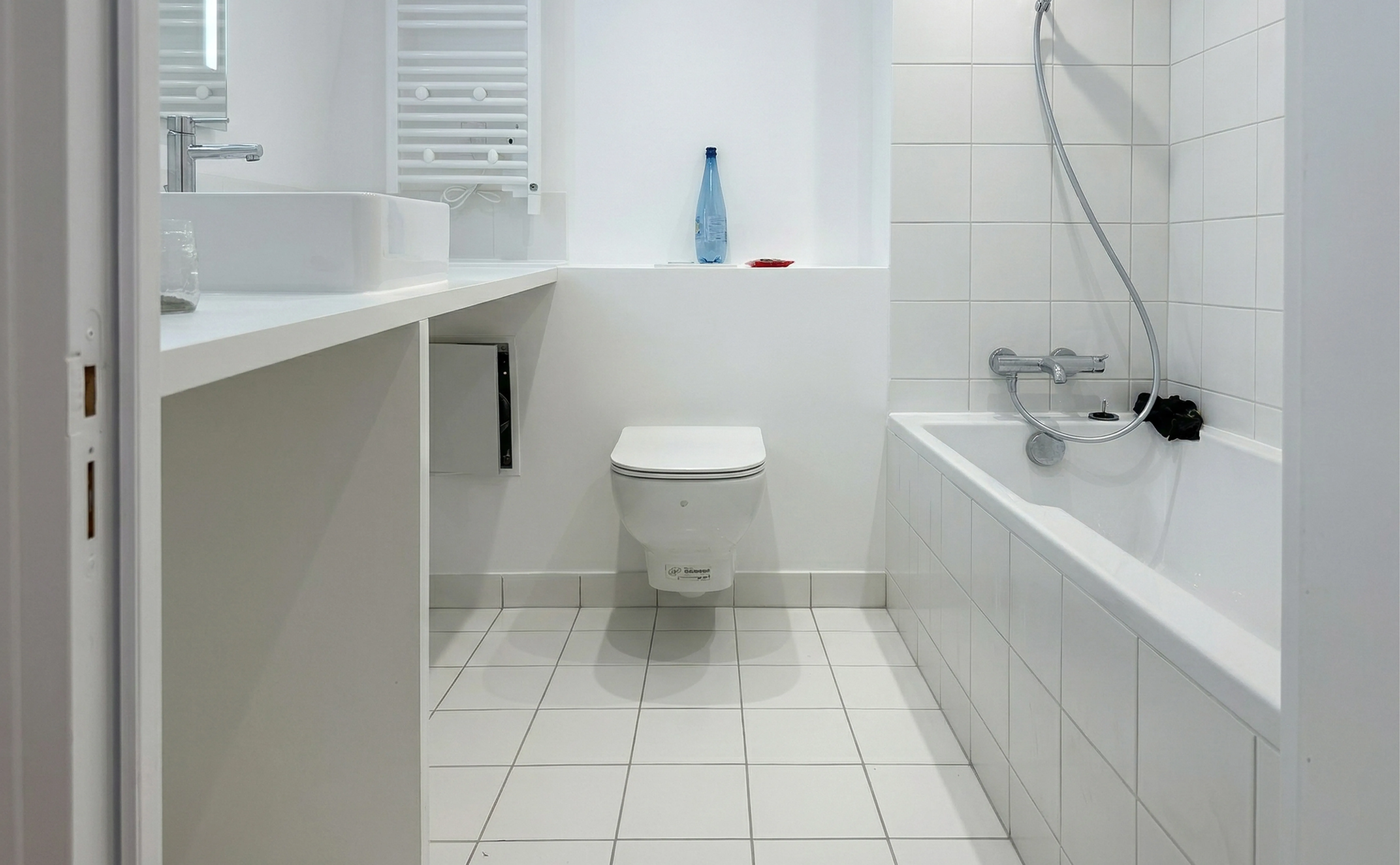 Toilet renovation